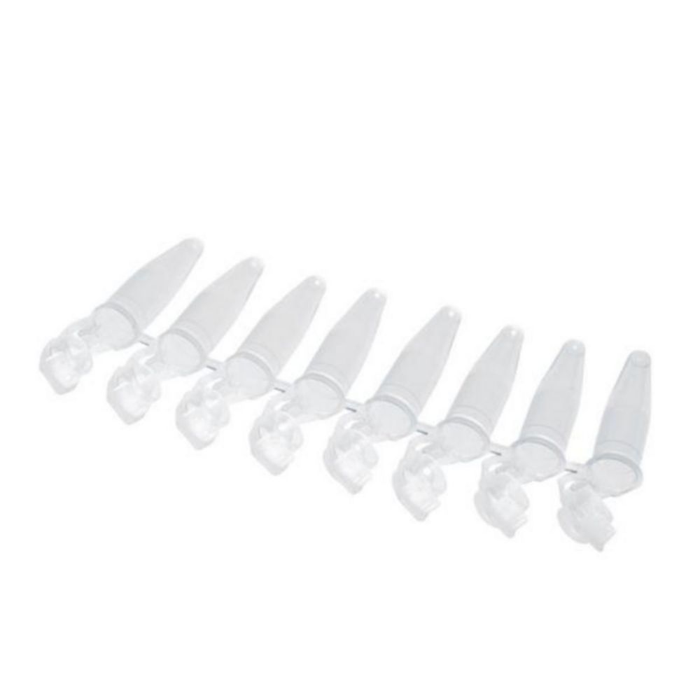Strips da 8 microprovette per PCR