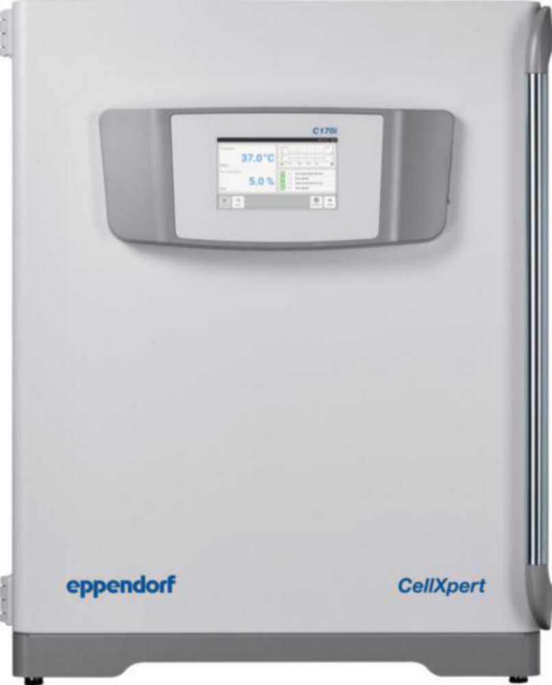 CellXpert® C170i, porta interna con 8 segmenti, maniglia a destra, controllo ossigeno 1 - 20 %, 220 - 240 V/50 - 60 Hz (UE)