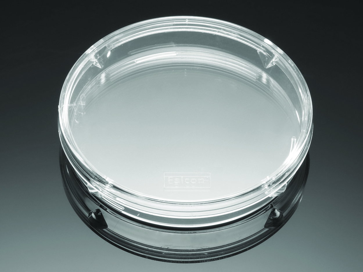 Petri dishes Falcon®, PS, standard