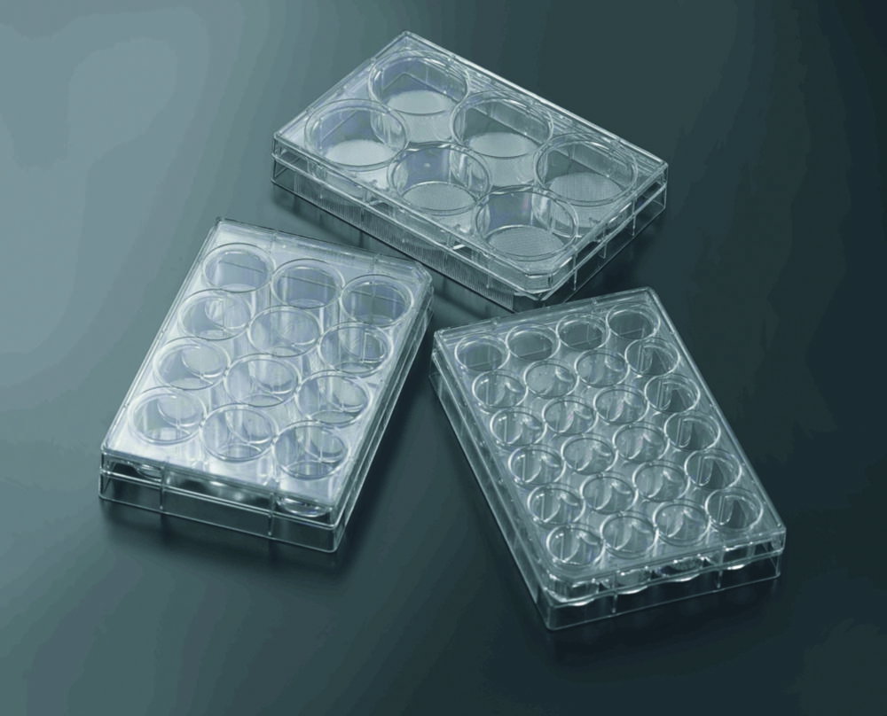 3D Cell culture plates CellSCAFLD®, treated, PS, sterile