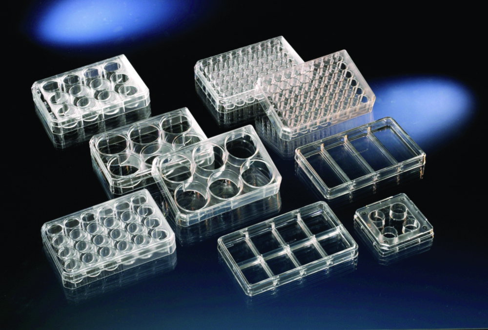 Piastre multipozzetto, Nunc™ superficie trattatta colture cellulari, PS, sterili