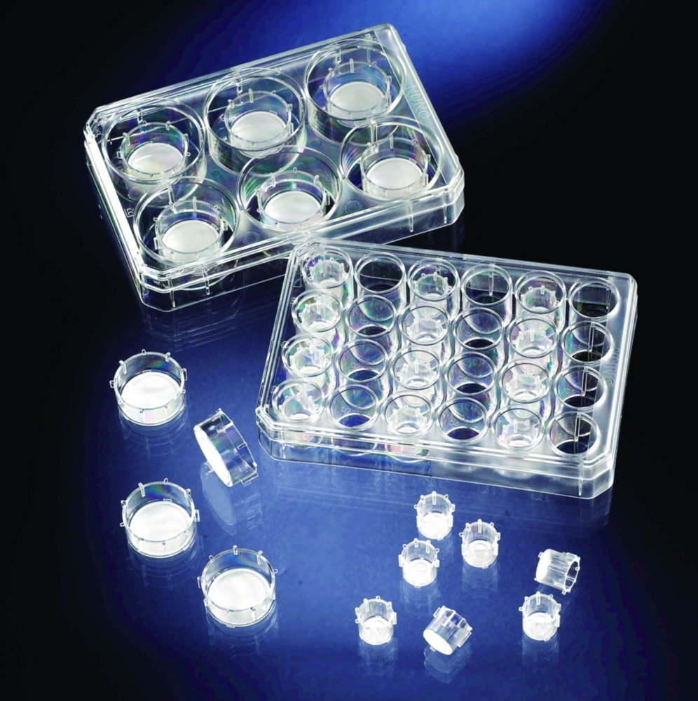 Inserti per Coltura Cellulare, PC, sterile
