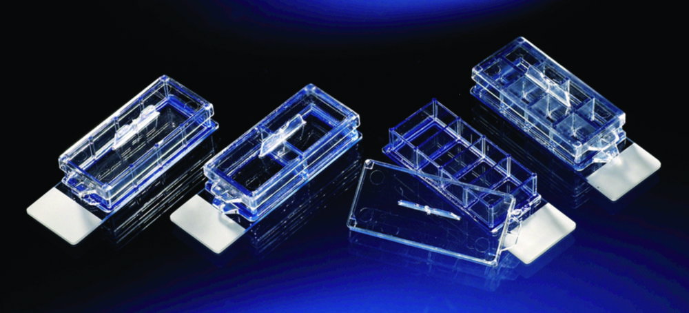 Camera Vetrini per microscopio Lab-Tek™ Chamber Slide™ System, Vetro