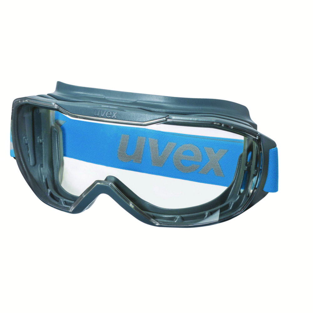 Panoramic Eyeshield uvex megasonic