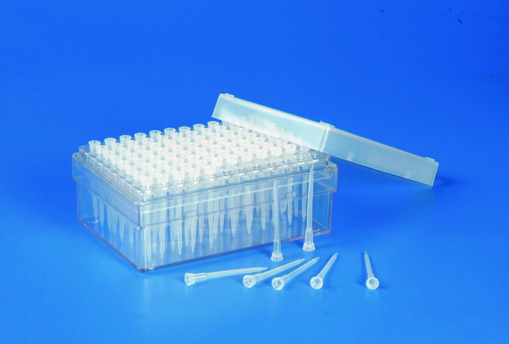 Puntali per pipette, PP