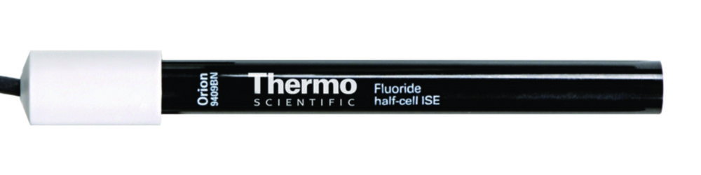 Fluoride electrodes