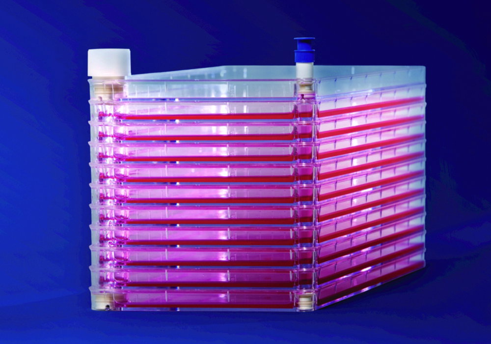 Cell Factories EasyFill™ con Superficie Nunclon™Δ, PS, sterile