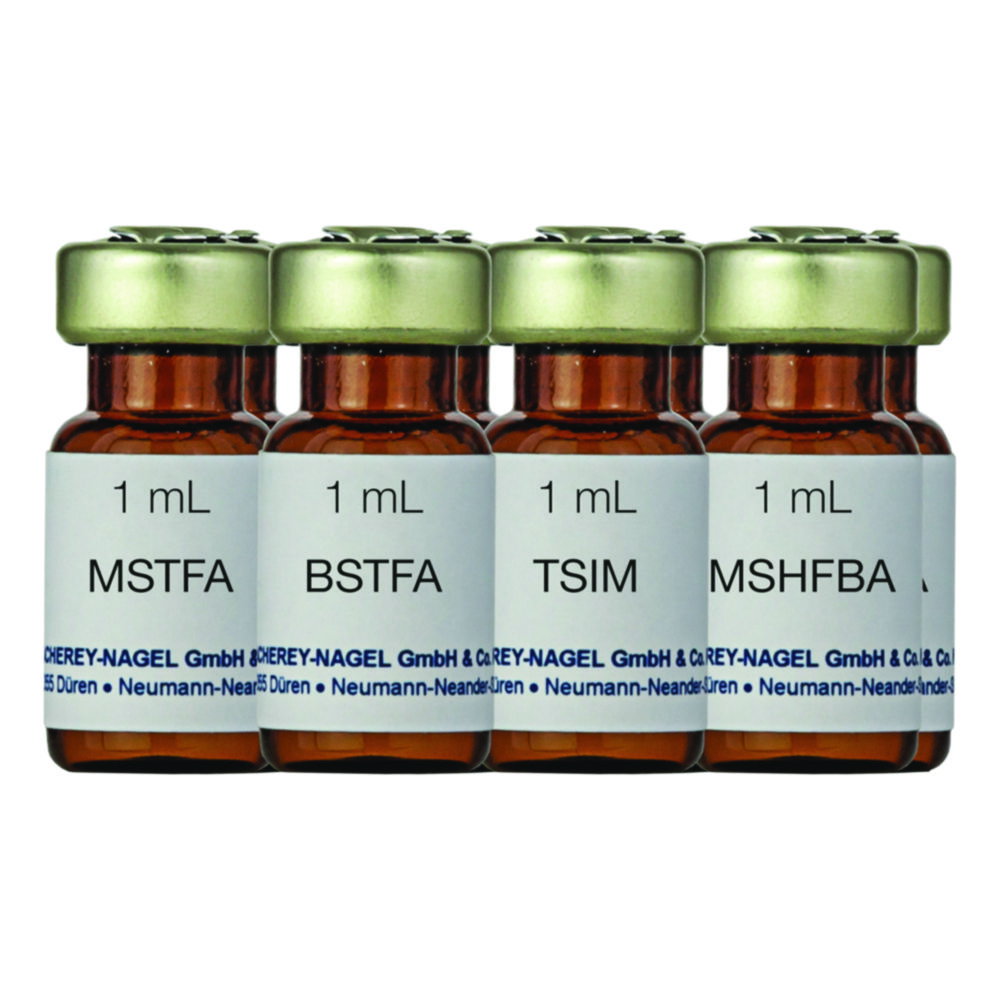 Silylation kit