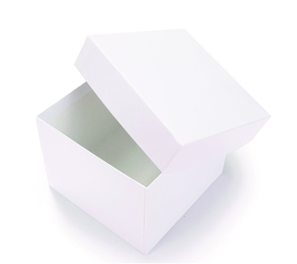 LLG-Scatole criogeniche, rivestite in plastica, bianco, senza divisori