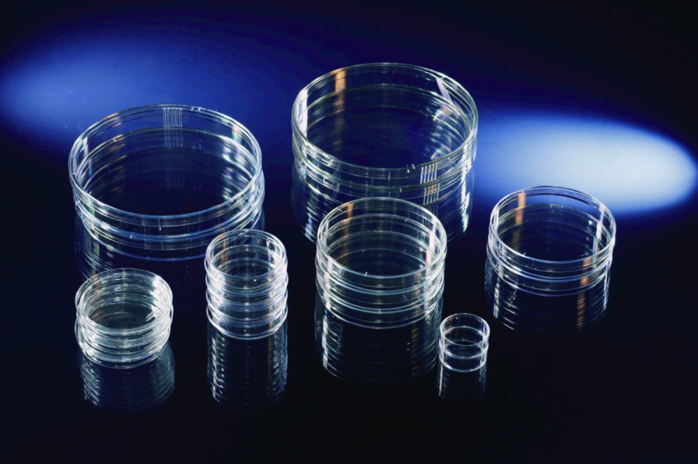 Capsule Petri, PS