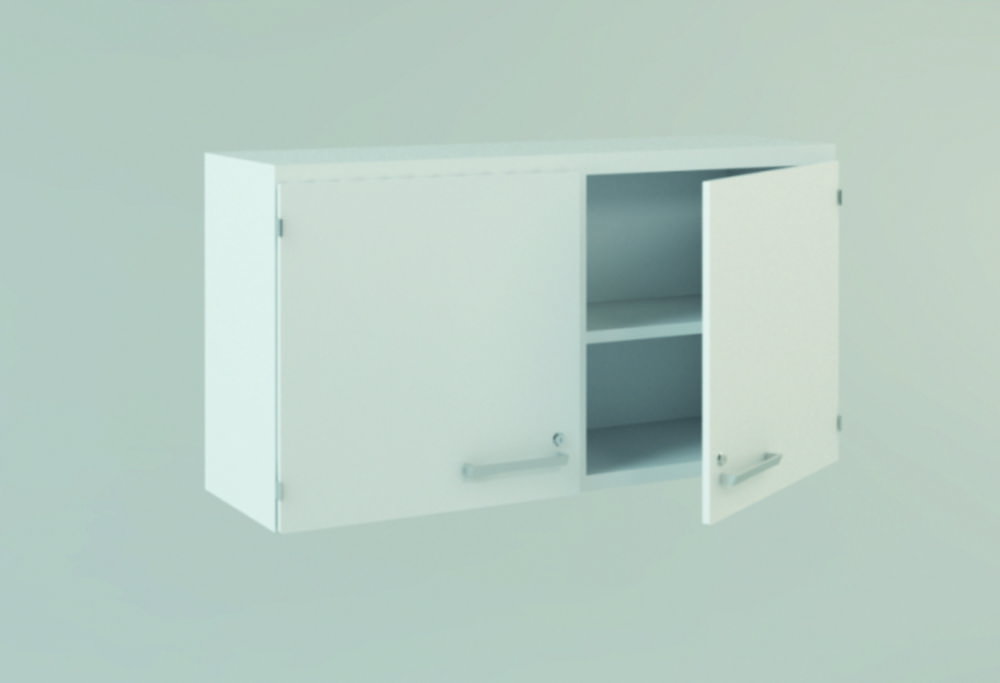Wall-mounted cabinets with two doors