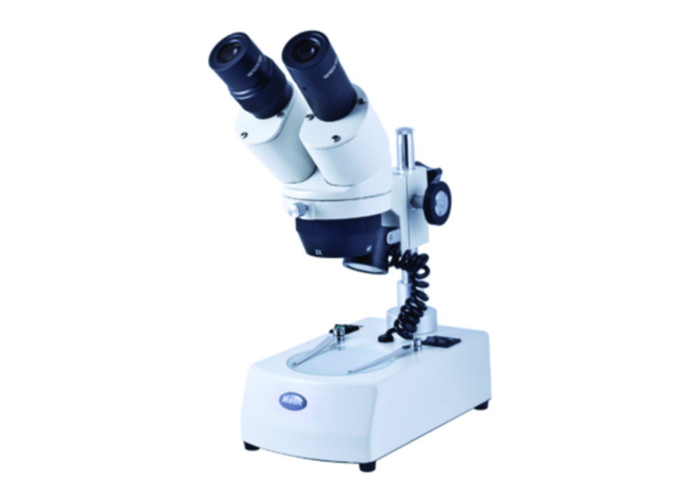 Stereomicroscopio ST 36C