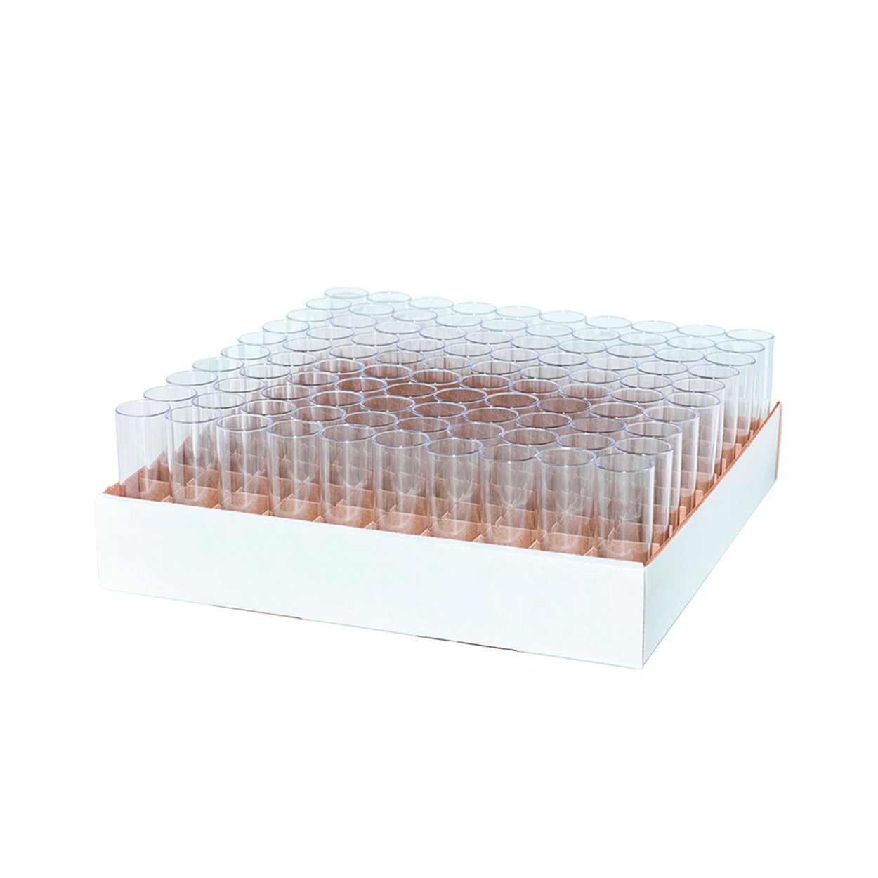 Drosophila tubes, PP