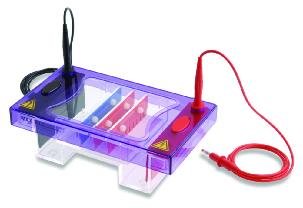 Vasca per elettroforesi gel MultiSUB Midi DUO