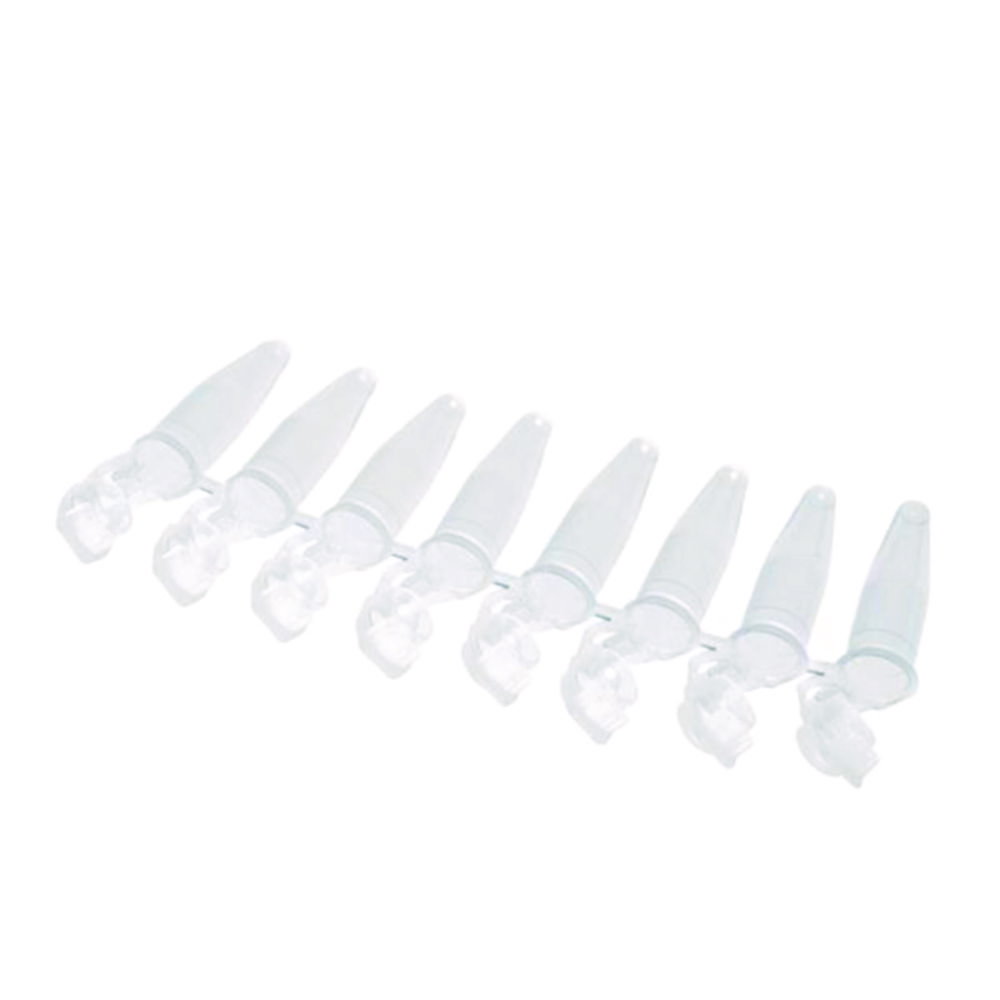 Strips da 8 microprovette per PCR