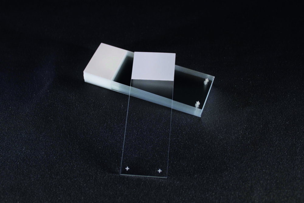 Adhesive microscope slides Superfrost® Plus