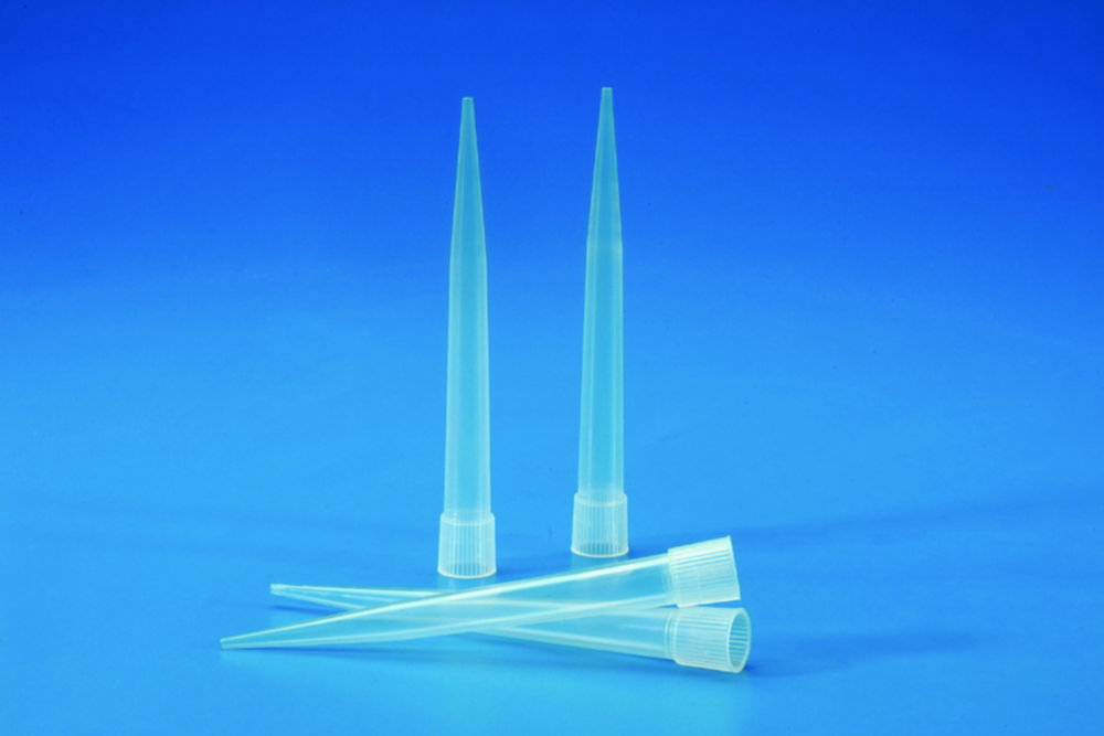 Puntali per pipette, PP
