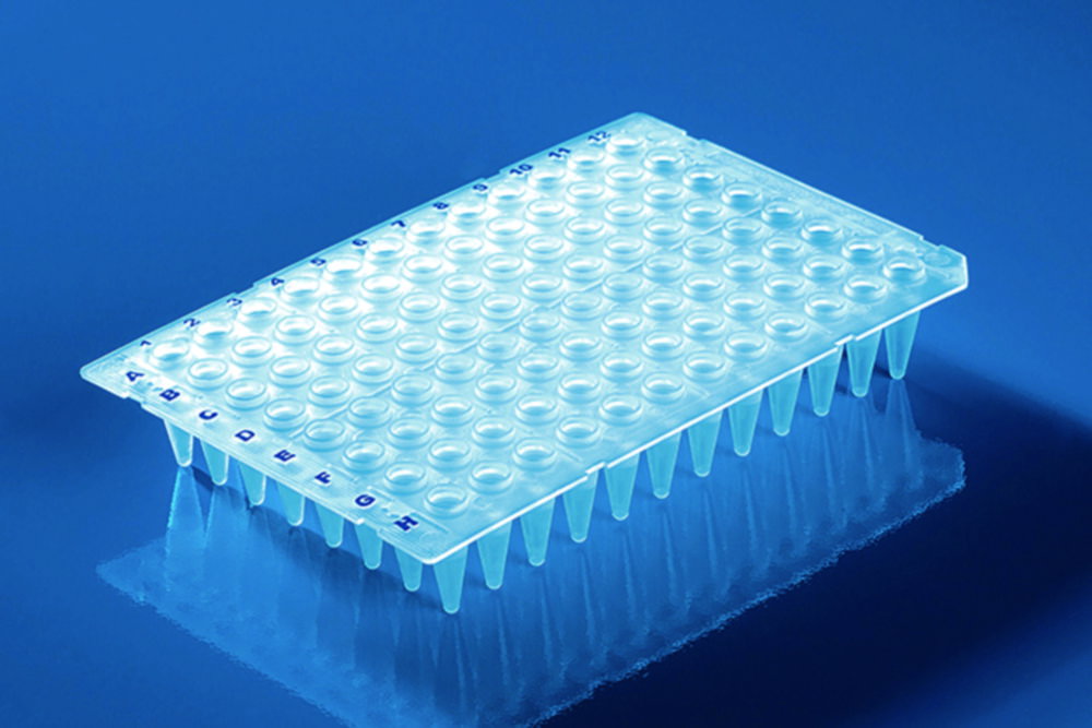 96-well PCR plates, PP, non-skirted, with elevated well rim