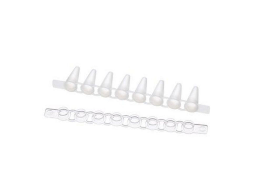 Fast PCR-Tubes 0.1 ml, 8 tube-strips with separate cap strip | Nominal capacity: 0.1 ml