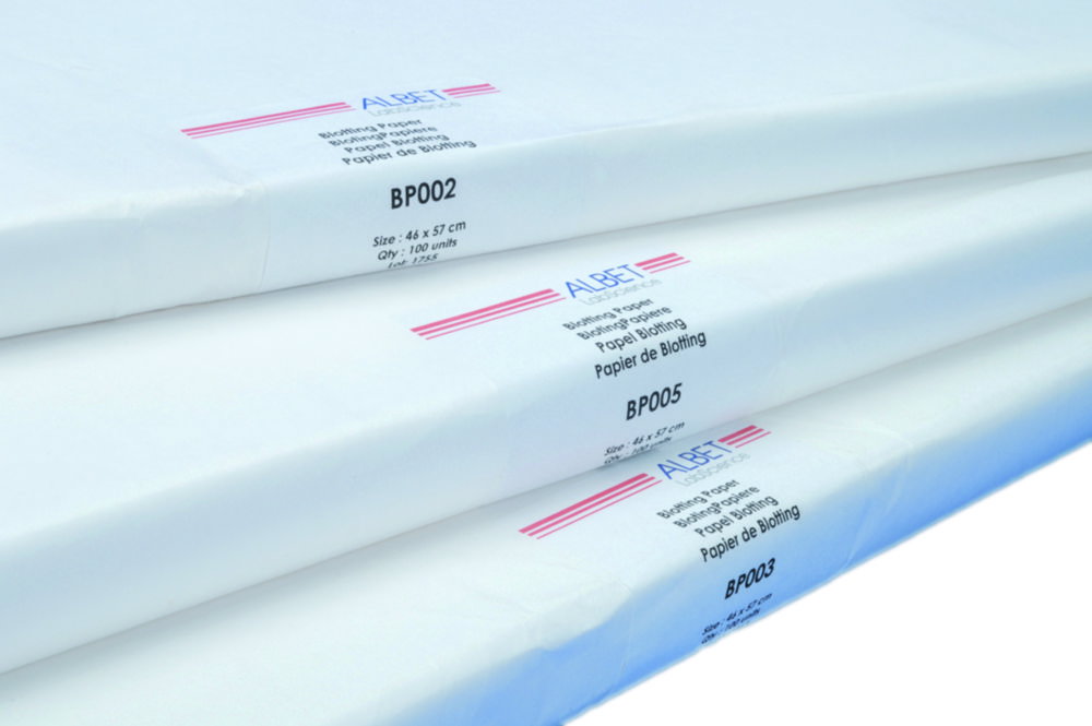 Blotting paper, high absorbency