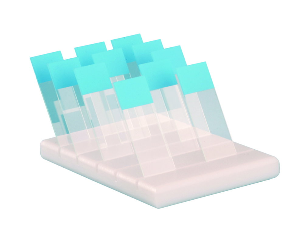 Slide Holders, PE
