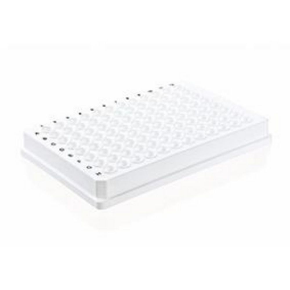 96-well PCR plates, PP, skirted