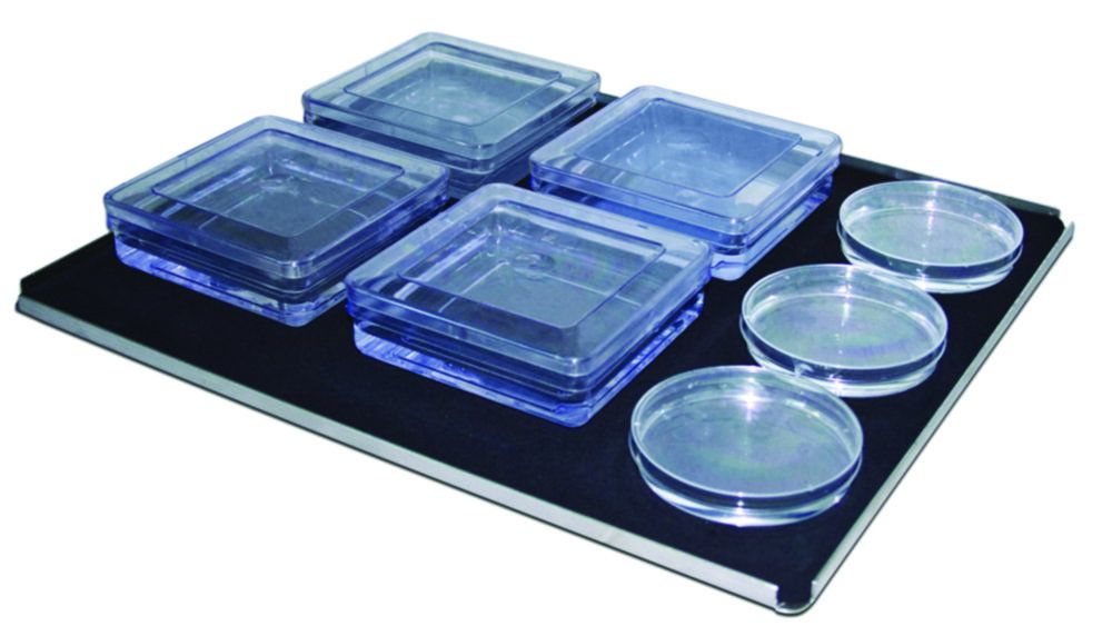 Piattaforme per incubatori ad agitazione ES-20 / ES-80