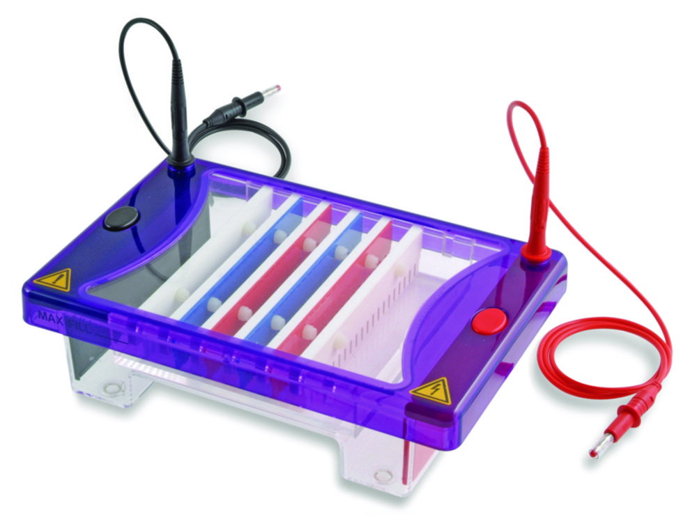 Vasca per elettroforesi gel MultiSUB Choice Trio