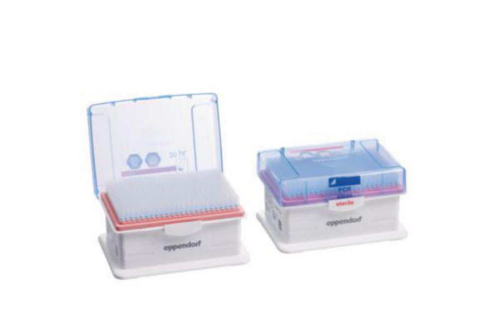 Puntali per pipette ep Dualfilter T.I.P.S.® 384